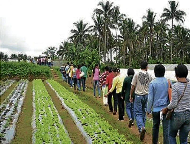 Some Interesting Facts about Agro-tourism