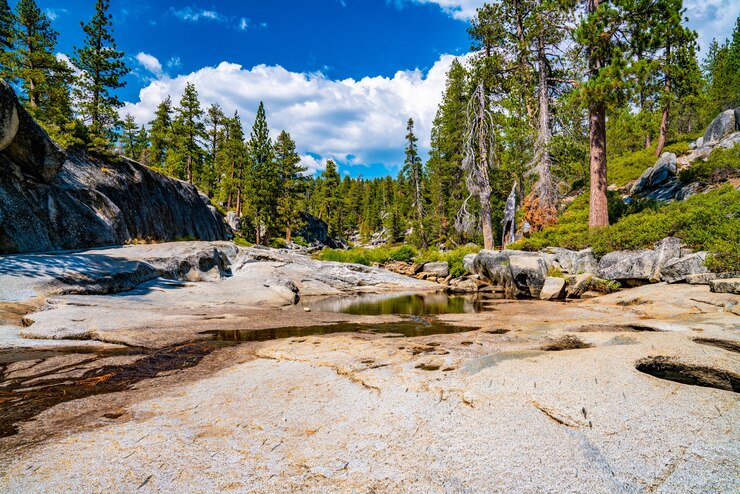 Where To Stay In Yosemite National Park?