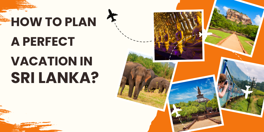 How to Plan a Perfect Vacation in Sri Lanka?